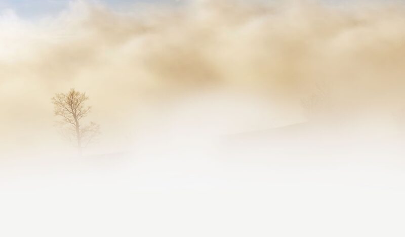 paysage brouillard